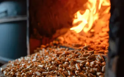 Zbliżenie na pellet w piecu, płomienie w tle. Dowiedz się, jak zlikwidować spieki w piecu na pellet.